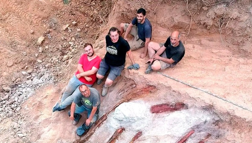 Portugal.  Un registro de un esqueleto de dinosaurio encontrado en el patio trasero