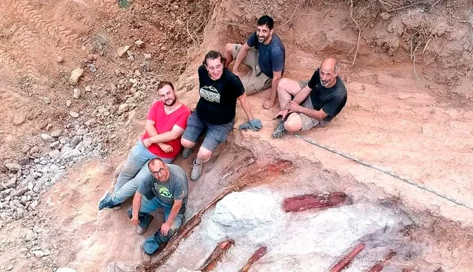 Portugalia. Rekordowy szkielet dinozaura znaleziony w ogródku