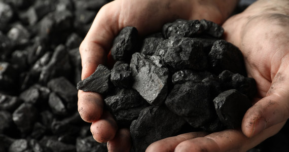 Sprzedaż węgla w kopalniach Polskiej Grupy Górniczej została dziś rano przerwana. Jak zapewnił rzecznik spółki, sprzedaż ponownie ruszyła.