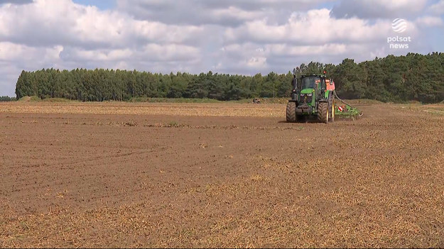 Anwil wznawia produkcję nawozów. Branża spożywcza w ostatnim czasie alarmowała, że bez dwutlenku węgla grożą jej ogromna problemy. Produkcja mięsa, nabiału i napojów nie będzie przerwana - zapewnia rząd. Projekt pomocy ma zostać przedstawiony jutro, ale nie musi to oznaczać końca problemów z bezpieczeństwem żywnościowym Polaków. Materiał dla "Wydarzeń" przygotowała Agnieszka Witkowicz-Matolicz.