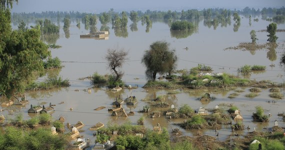 Około 1100 osób zginęło w wyniku trwających od kilku tygodni powodzi w Pakistanie - to wstępny bilans kataklizmu podany przez władze. "Jedna trzecia kraju jest w tej chwili pod wodą. Wszystko to wielki ocean" - ogłosiła w pakistańska minister do spraw zmian klimatycznych Sherry Rehman, cytowana przez AFP. 