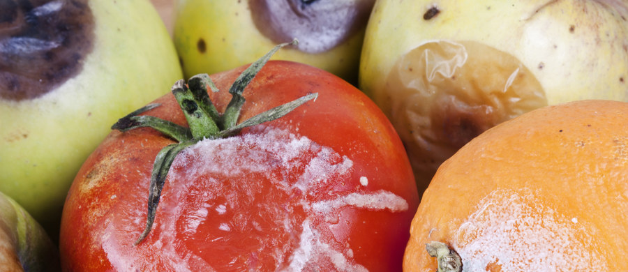 Świeże produkty to pyszne i zdrowe urozmaicenie naszej diety. Tymczasem sezon na owoce i warzywa w pełni. Co jednak zrobić, kiedy np. na pomidorze czy śliwce pojawi się plamka pleśni? Odpowiada Główny Inspektorat Sanitarny. 