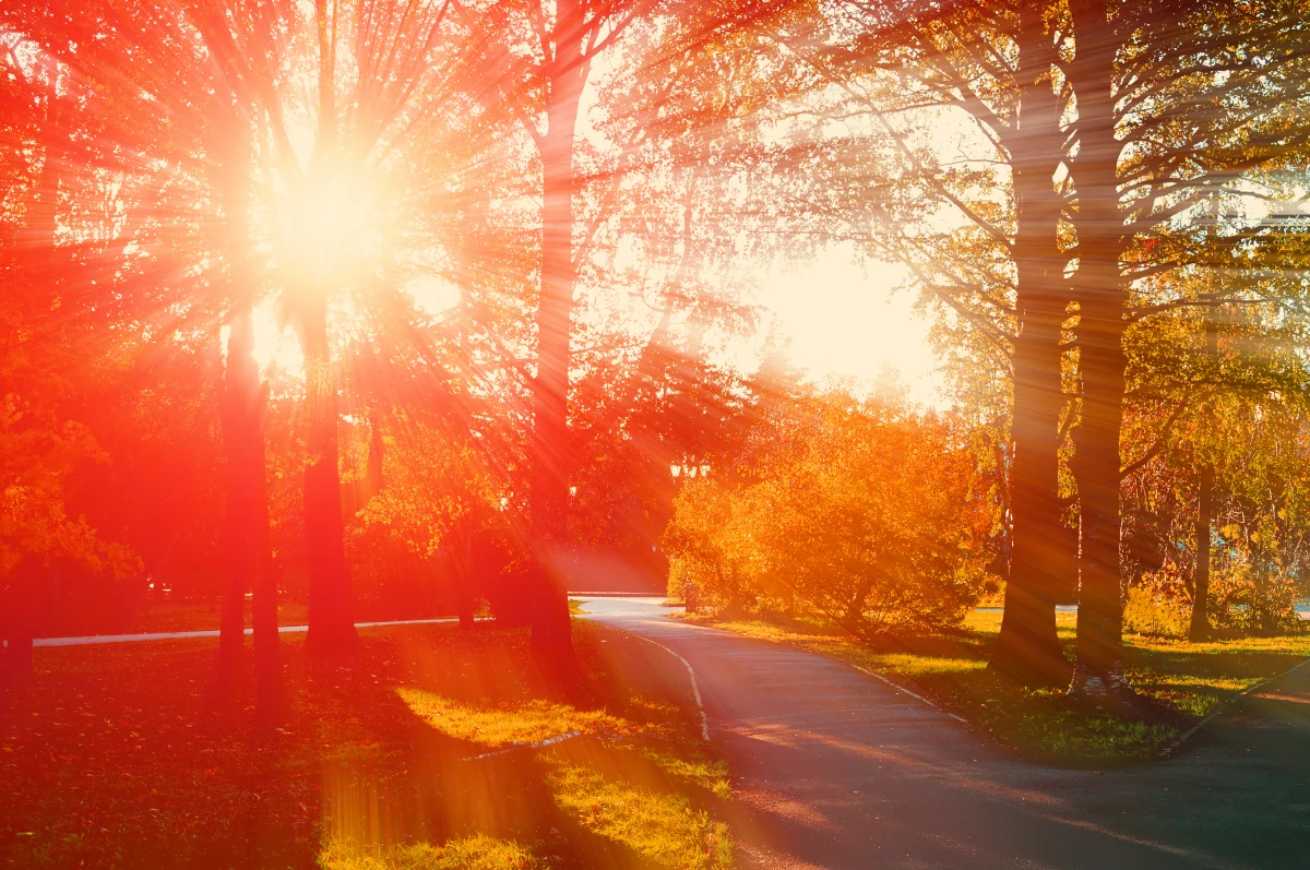 Koniec wakacji, od jutra uczniowie wracają do szkół. Lato powoli kończy się także w pogodzie. Jaka aura zapowiada się 1 września?