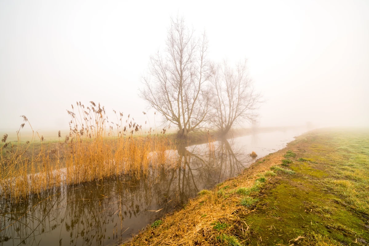 Tej nocy na Suwalszczyźnie termometry pokażą tylko 3 stopnie Celsjusza, a przy gruncie może być nawet ok. zera - mówi dyżurna synoptyk Instytutu Meteorologii i Gospodarki Wodnej Małgorzata Tomczuk.