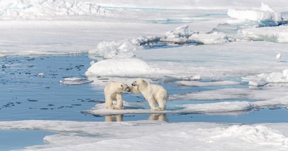 Wskutek zmian klimatu i szybkiego ocieplania się Arktyki zanikają arktyczne jeziora - informują naukowcy na łamach pisma "Nature Climate Change". Arktyka ociepla się znacznie szybciej niż reszta świata, a jaj natura jest poważnie zagrożona.
