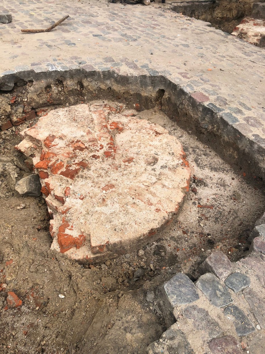 /UM Szczecin /Materiały prasowe