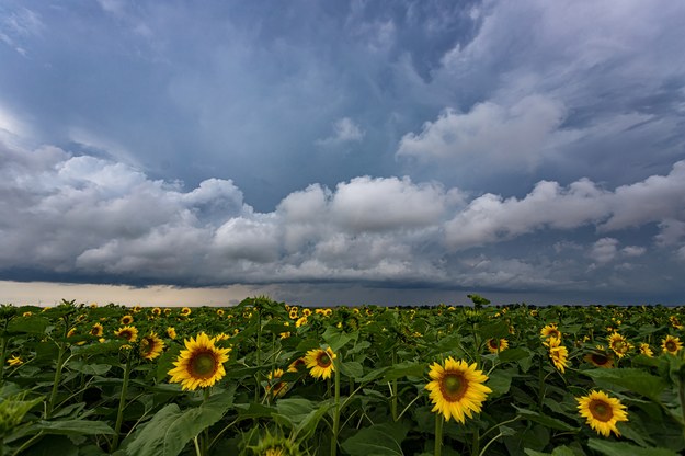 Sobota z dobrą pogodą. Miejscami opady deszczu