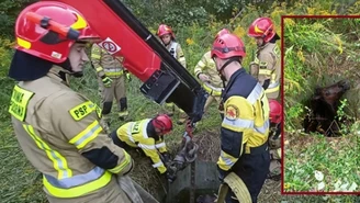 Koń wpadł do studzienki kanalizacyjnej. Wyciągali go dźwigiem