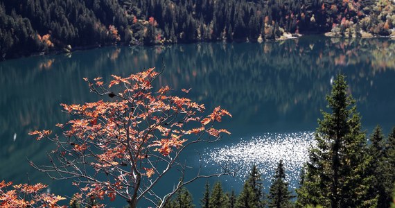 ​Chociaż nadal trwa kalendarzowe lato, to w Tatrach zaczyna panować jesień. Po upalnym sierpniu na początku września przyszło znaczne ochłodzenie, a na najwyższych szczytach pojawiły się przymrozki. Kolejne dni nie przyniosą wielkich zmian w pogodzie - powiedział przewodnik i edukator Tatrzańskiego Parku Narodowego Tomasz Zając.