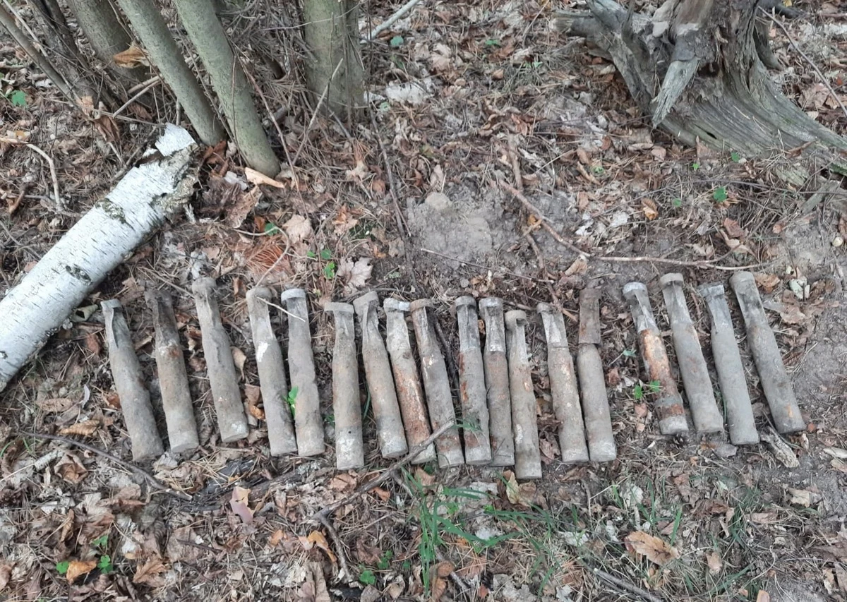 ​21 niewybuchów - bomb lotniczych, używanych podczas I i II wojny światowej znaleziono w okolicach Dzwonowa na terenie Puszczy Zielonki (Wielkopolskie). Niewybuchy zostały zabezpieczone przez patrol saperski z Centrum Wojsk Lądowych w Poznaniu.