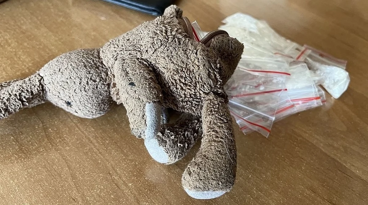 Policjanci z Żor zatrzymali 48-letnią kobietę, którą od kilku tygodni podejrzewali o handel narkotykami. W jej mieszkaniu funkcjonariusze znaleźli ponad 300 gramów środków odurzających i narkotyków. Były one ukryte w... pluszowych zabawkach.