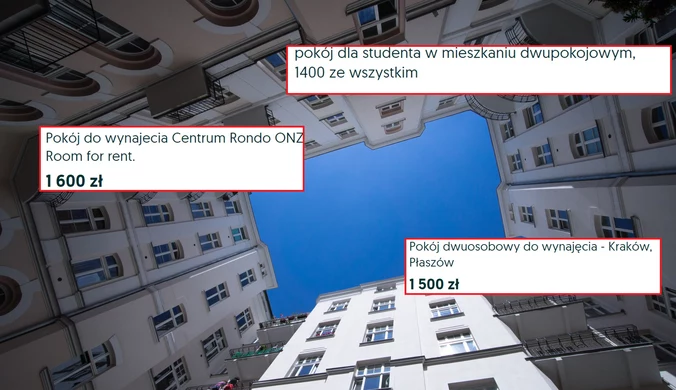 Koszmar studentów. Wynajęcie pokoju w normalnej cenie graniczy z cudem