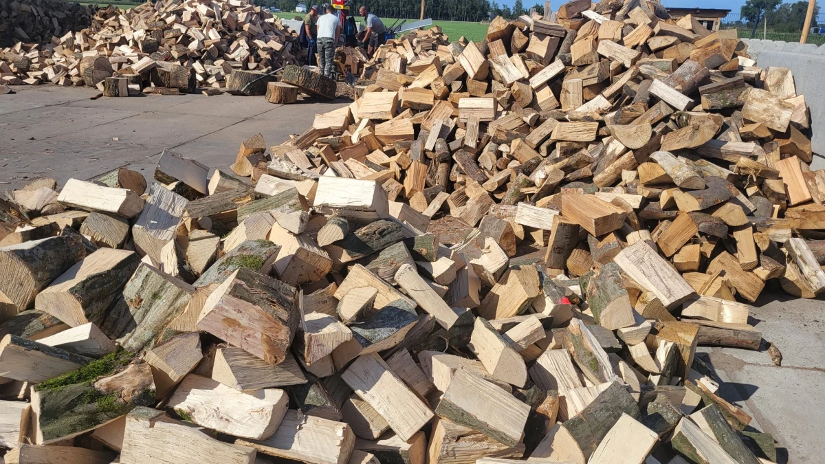 Mamy około 6000 metrów przestrzennych drewna, ale musimy sprzedawać je o 200 proc. drożej niż przed rokiem – mówi RMF FM prowadzący skład drewna we Wronkach w Wielkopolsce. Jak tłumaczy wzrost cen?