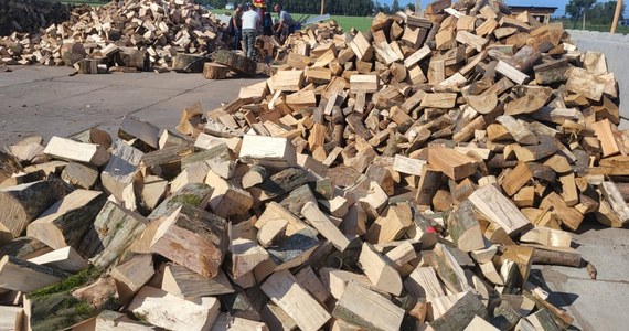 Mamy około 6000 metrów przestrzennych drewna, ale musimy sprzedawać je o 200 proc. drożej niż przed rokiem – mówi RMF FM prowadzący skład drewna we Wronkach w Wielkopolsce. Jak tłumaczy wzrost cen?