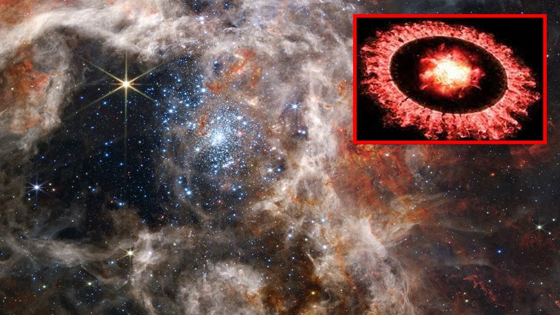 Kosmiczny Teleskop Jamesa Webba kolejny raz uraczył nas spektakularnymi obrazami otchłani Wszechświata. Tym razem możemy zobaczyć w niedostępnych dotąd szczegółach Mgławicę Tarantula.