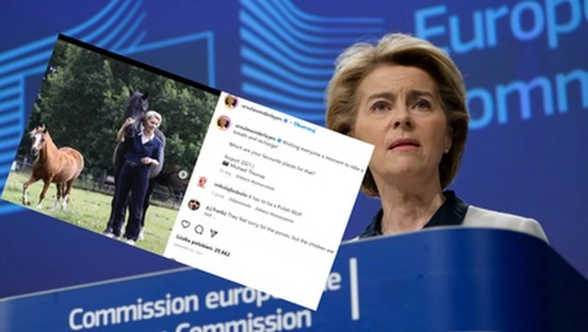 Wilk zagryzł kucyka o imieniu Dolly, należącego do Ursuli von der Leyen - podaje "Bild". Atak miał miejsce na pastwisku, ok. 100 metrów od domu przewodniczącej Komisji Europejskiej w Beinhorn w Dolnej Saksonii.