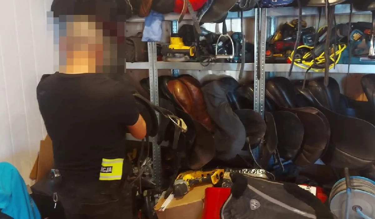 Do pięciu lat więzienia grozi 32-latkowi, który oferował do sprzedaży siodła i inne akcesoria jeździeckie ukradzione ze stajni w Niderlandach. Mężczyzna został zatrzymany przez poznańskich policjantów. Wartość znalezionego u pasera sprzętu jeździeckiego sięga blisko 1 mln zł - podała policja.

