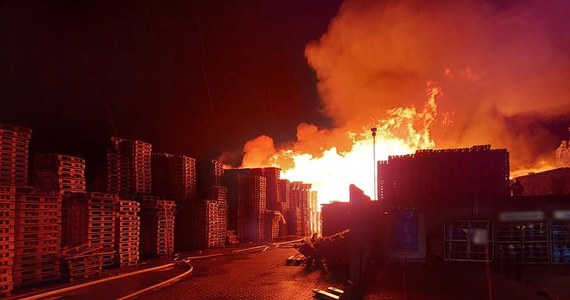 Co najmniej kilka godzin potrwa akcja strażaków na terenie zakładu produkującego drewniane palety w Miliczu na Dolnym Śląsku. Informację o tym zdarzeniu dostaliśmy na Gorącą Linię RMF FM. 