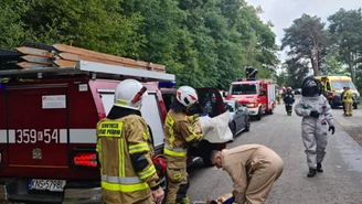 Atak szerszeni na pielgrzymów. Dwoje seniorów i dziecko w szpitalu