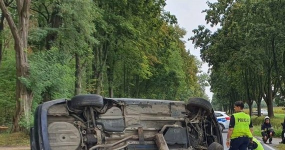 Nadmierna prędkość była przyczyną śmiertelnego wypadku na drodze krajowej 42 w Łódzkiem, między miejscowościami Granice  a Strzelce Małe.  20-letni kierujący bmw po wjechaniu na  łuk drogi stracił panowanie nad pojazdem, zjechał na pobocze i uderzył w drzewo. Auto przewróciło się. Na miejscu zmarła 19-letnia pasażerka bmw.



