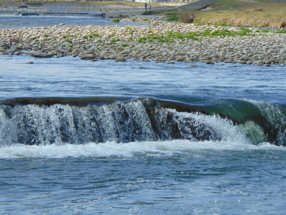 Wstrzymano prace przy zabezpieczaniu wałów na Dunajcu w Zbylitowskiej Górze w Małopolsce. Inwestycję oprotestowali ekolodzy, bo zagrożona jest jedna z największych w Polsce - kolonia jaskółki brzegówki, objęta ścisłą ochroną gatunkową. Prace wstrzymano jednak tylko tymczasowo. 