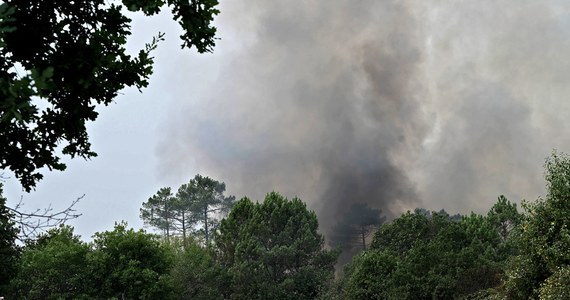 Około 500 mieszkańców zostało ewakuowanych, a ponad 300 strażaków zmobilizowanych we francuskim departamencie Żyronda. Wybuchł tam pożar, który zniszczył już 1,3 tys. ha lasów i łąk.
