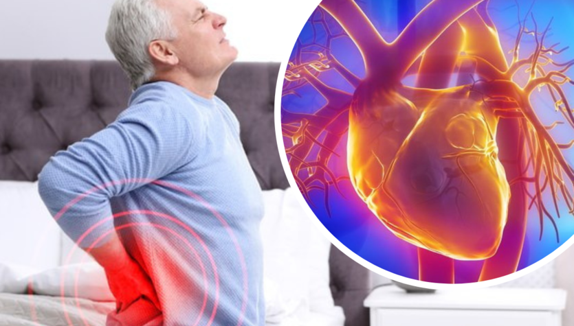 Dolor de espalda y enfermedades cardíacas: los científicos descubren la amiloidosis por transactina
