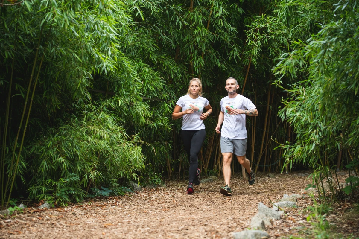 Zostały jeszcze pakiety startowe na tegoroczny Wild Run. To bieg na dystansie 10 km. Dochód z niego zostanie przekazany na ratowanie zwierząt Azji. Po dwuletniej przerwie "Dziki bieg" powraca na teren wrocławskiego zoo. Start już 9 października.
