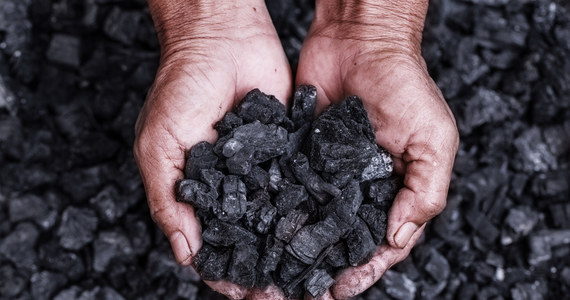 Kolejki po węgiel przed kopalniami są coraz dłuższe. Świetnym przykładem jest kopalnia Budryk w śląskich Ornontowicach, gdzie na odbiór węgla trzeba czekać do końca grudnia. Dziennie kopalnia jest w stanie wydobyć i sprzedać około 180 ton. Dlatego niektórzy rezygnują z oczekiwania na węgiel po polskiej stronie granicy i jadą go szukać w składach w Czechach.