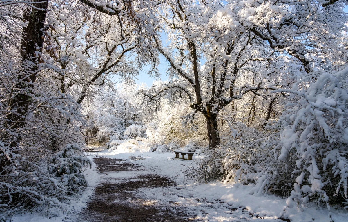 Instytut Meteorologii i Gospodarki Wodnej opublikował prognozę pogody na najbliższe cztery miesiące. Wynika z niej, że temperatura w tym okresie powinna mieścić się w normie wieloletniej, a w grudniu nawet powyżej. Może być za to mokro. Czy jest zatem szansa na białe święta? Sprawdźcie, co według IMGW może nas czekać w pogodzie! 