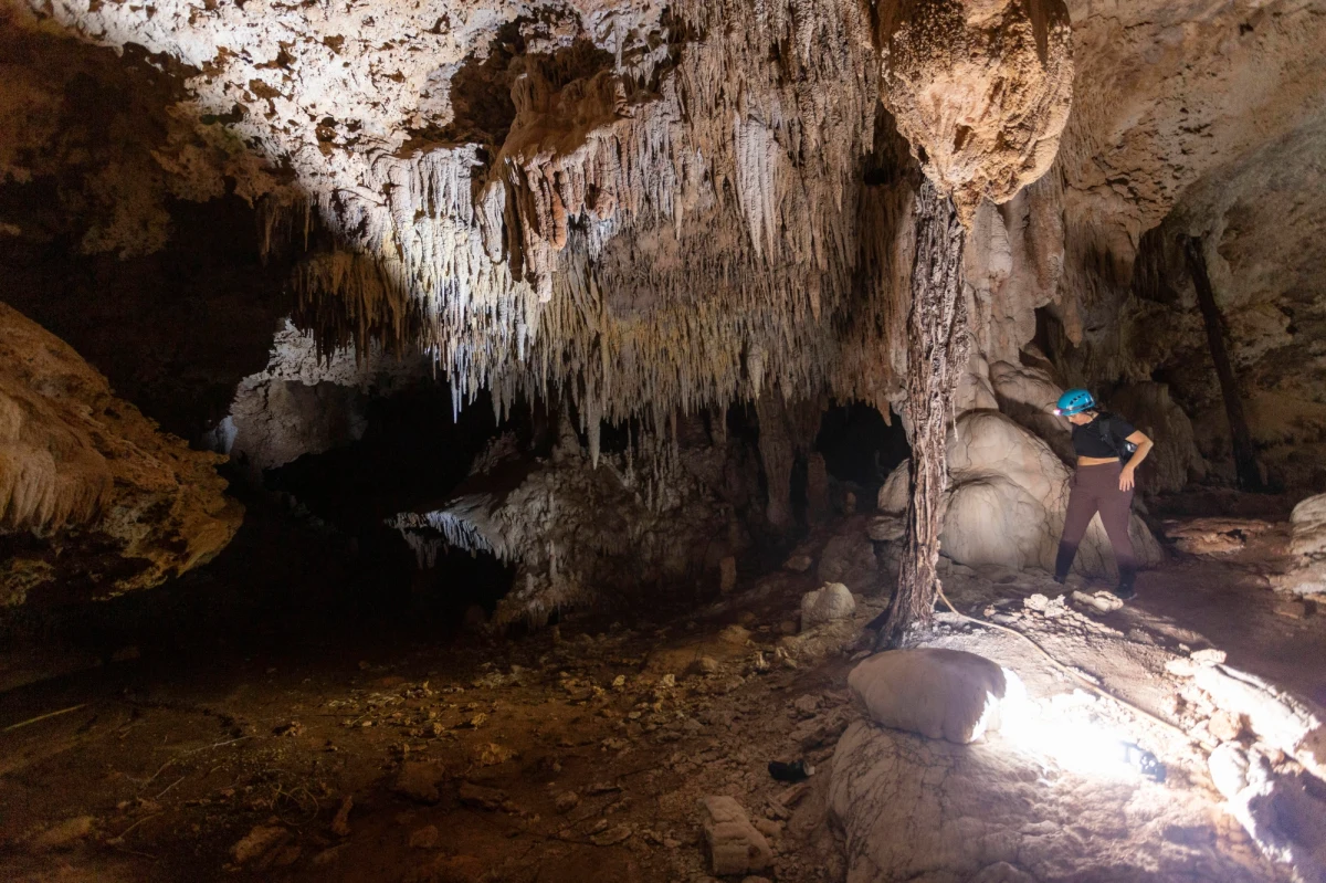 ​Mimo sprzeciwu ekologów, nurków jaskiniowych i archeologów, meksykański rząd niszczy teren zlokalizowany w niezwykle ważnym dla badaczy terenie. Projekt Maya Train w Meksyku ma przynieść rozwój półwyspu Jukatan. Ale jeden kontrowersyjny odcinek przebiega przez dżunglę zagrażając niektórym z najbardziej złożonych i delikatnych systemów jaskiń na świecie. Ostatnio znaleziono tam prehistoryczny szkielet człowieka pochodzący sprzed 8 tys. lat - podaje portal NBC News. Jego dokładne zbadanie stoi pod znakiem zapytania z uwagi na powstającą tam dużą kolejową inwestycję.