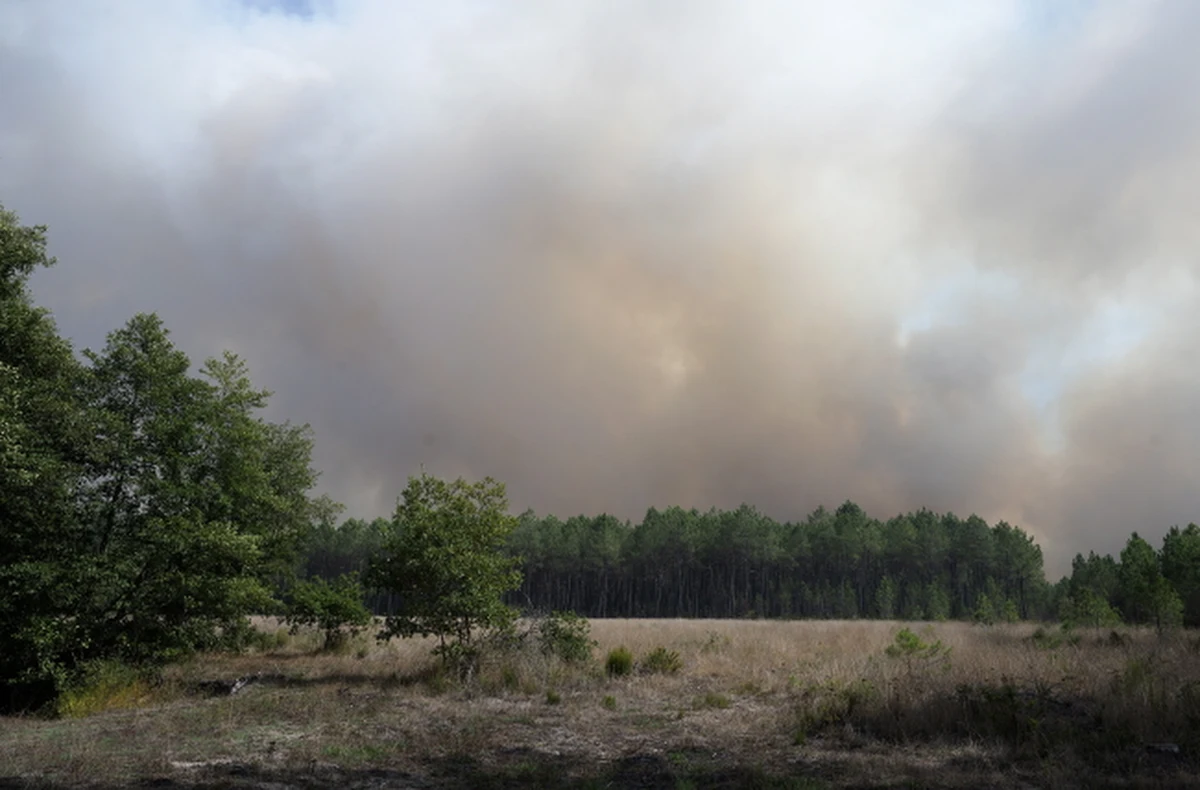 Nowa fala pożarów w rejonie Bordeaux we Francji. Olbrzymie płomienie zniszczyły już blisko cztery tysiące hektarów lasów, ewakuowano prawie tysiąc okolicznych mieszkańców.