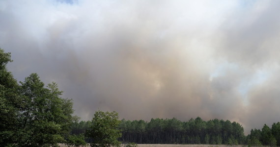 Nowa fala pożarów w rejonie Bordeaux we Francji. Olbrzymie płomienie zniszczyły już blisko cztery tysiące hektarów lasów, ewakuowano prawie tysiąc okolicznych mieszkańców.