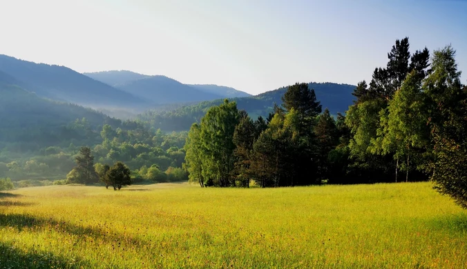 Ten region skrywa podkarpackie Hollywood. Wielu Polaków go nie zna, a to idealny kierunek na urlop 