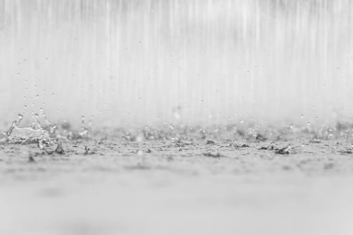 W sobotę deszczowo i zimno w całym kraju. Lokalnie w zachodniej połowie kraju mogą wystąpić burze - poinformowała dyżurna synoptyk Instytutu Meteorologii i Gospodarki Wodnej Agnieszka Prasek.