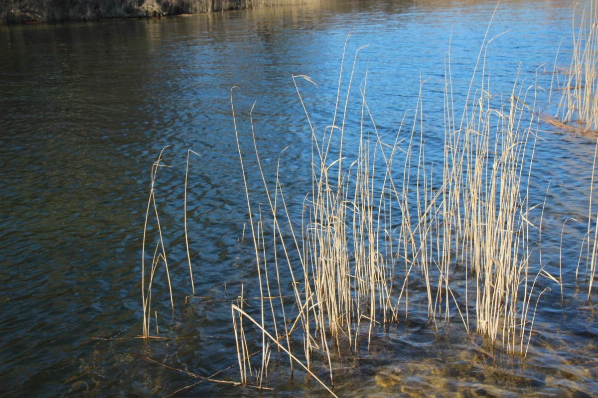 Zwłoki nieznanego mężczyzny wydobyto w sobotę z rzeki Bystrzycy w Lublinie. Policjanci ustalają tożsamość denata - poinformował mł. asp. Kamil Karbowniczek z KWP w Lublinie.