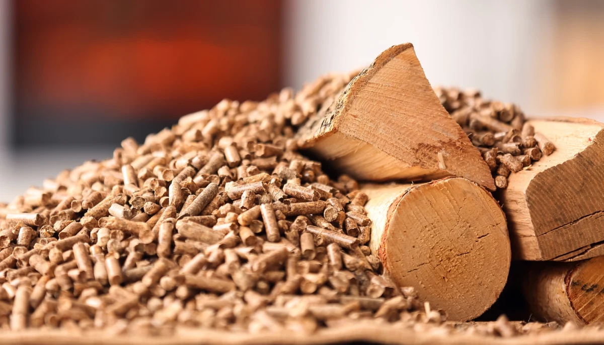 Obowiązkowe ograniczenie cen ciepła sieciowego przez wytwórców oraz dodatki dla gospodarstw domowych używających do ogrzewania drewna, pelletu, LPG lub oleju opałowego - przewiduje ustawa, która podpisał prezydent Andrzej Duda. 