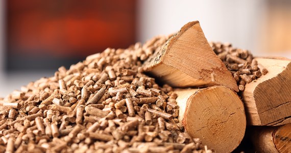 Obowiązkowe ograniczenie cen ciepła sieciowego przez wytwórców oraz dodatki dla gospodarstw domowych używających do ogrzewania drewna, pelletu, LPG lub oleju opałowego - przewiduje ustawa, która podpisał prezydent Andrzej Duda. 