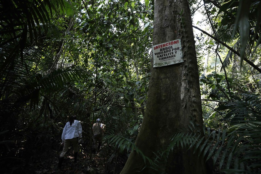 /Paolo Aguilar    /PAP/EPA