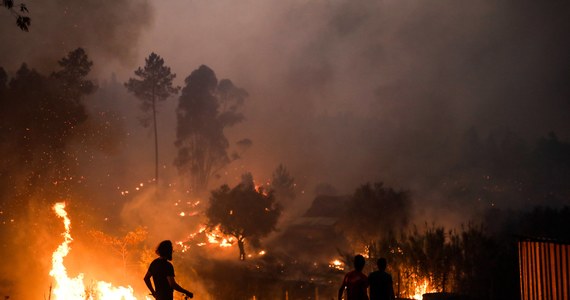 Ponad 85 mln euro to wartość szkód po tegorocznych wielkich pożarach w Portugalii. Ogień strawił ponad 57 tys. hektarów lasów i nieużytków rolnych.
