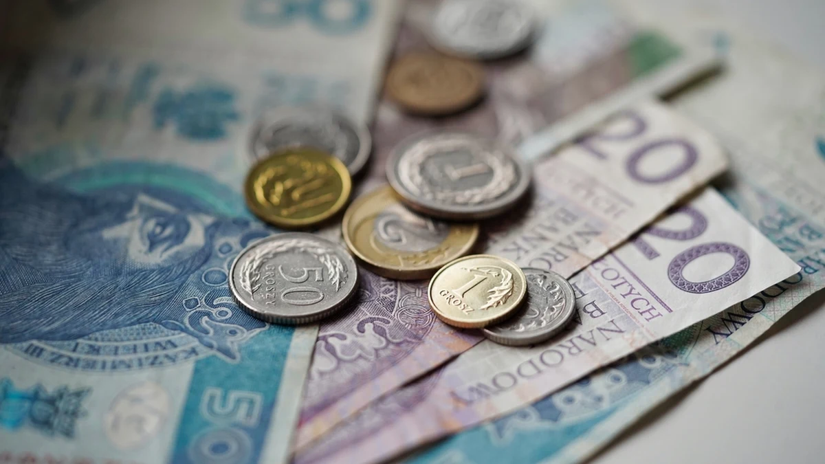 Urzędnicy z Bydgoszczy alarmują - w miejskiej kasie skończyły się pieniądze na wypłaty zapomogi dla osób przyjmujących pod swoim dachem uchodźców z Ukrainy. Chodzi o 40 złotych dziennie na osobę. Nie ma też ani złotówki na dodatek węglowy, który - przynajmniej w teorii - powinien trafić już do niektórych wnioskodawców.