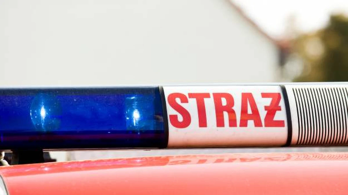 ​Ponad 80 pracowników ewakuowano z placu budowy w Jeleniej Górze na Dolnym Śląsku. Uszkodzony został tam gazociąg. Jak przekazują strażacy - nikomu nic się nie stało. Na miejscu pracuje obsługa sieci gazowej. W związku z tym zamknięto ruch na drodze krajowej nr 3.