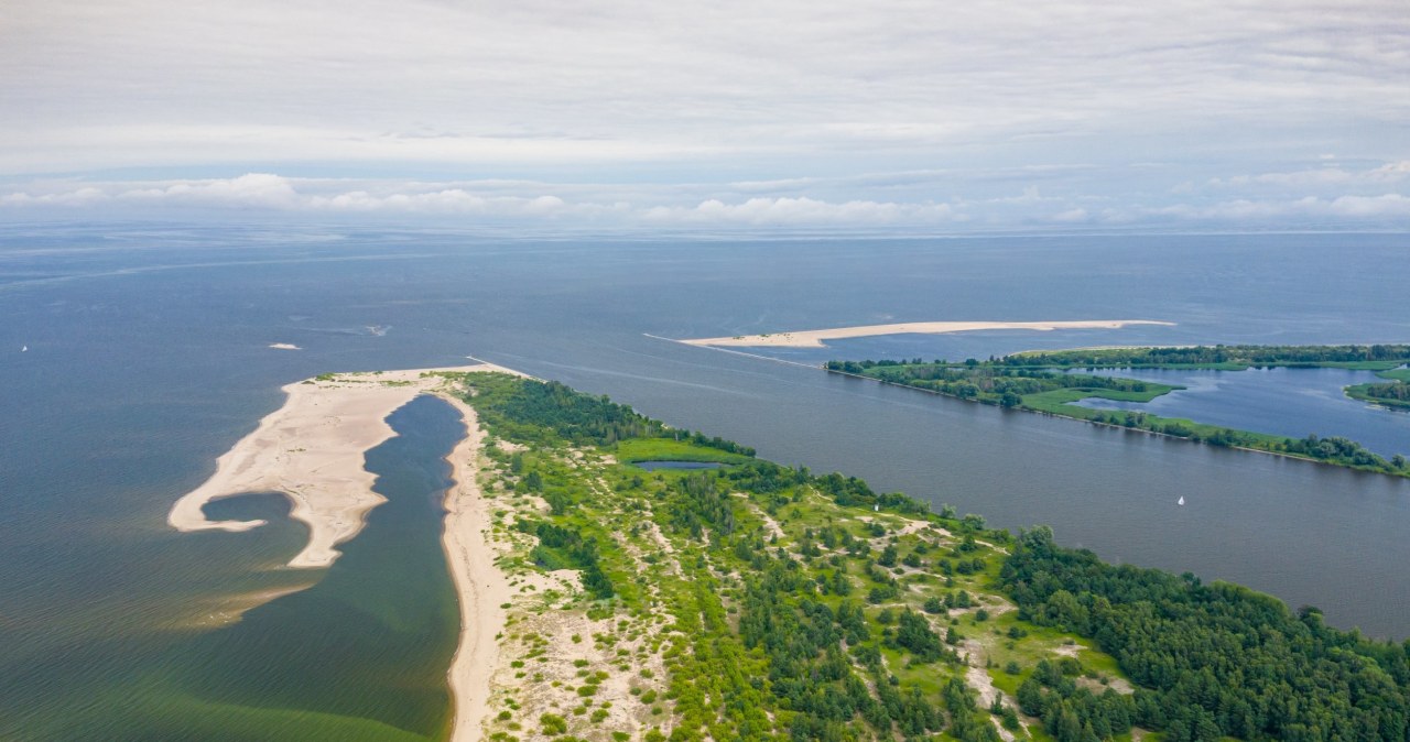 Rzadkie zjawisko w Bałtyku. Miłośnicy letnich kąpieli nie będą zachwyceni