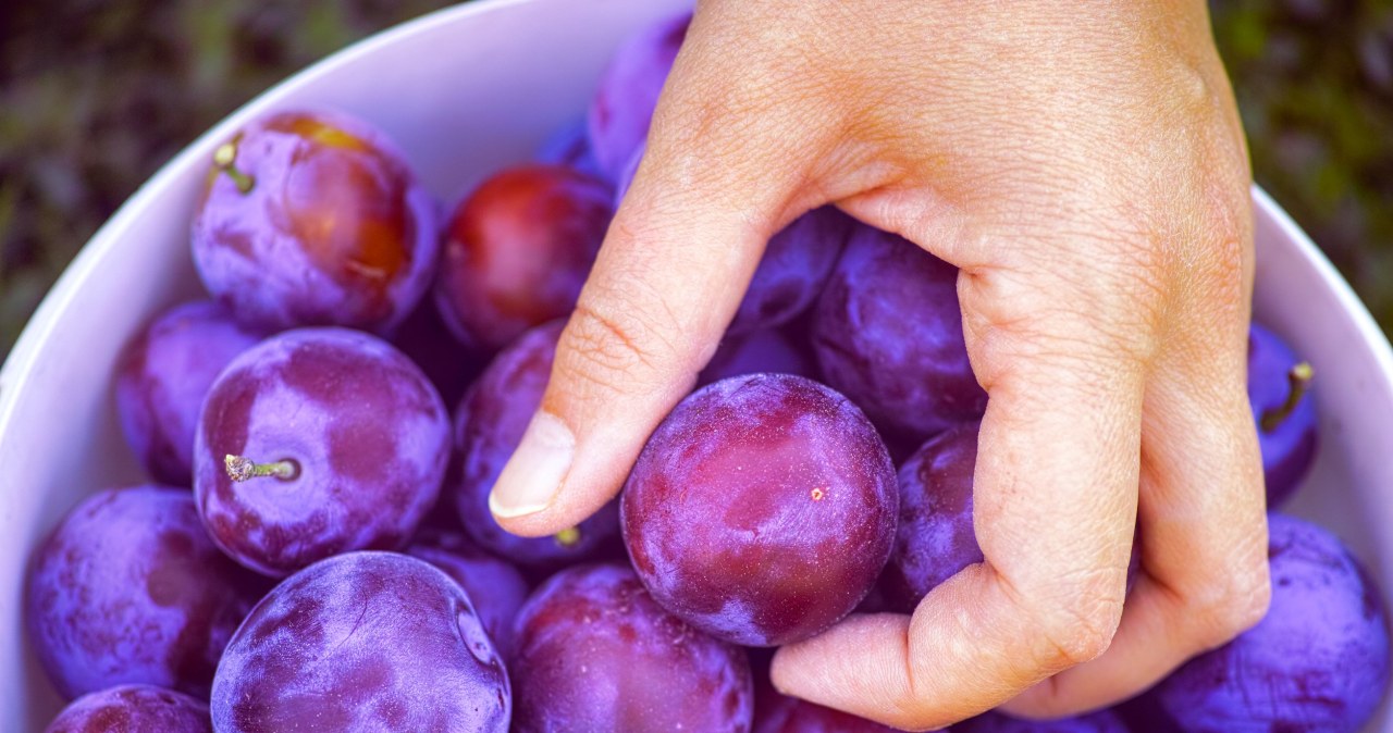 Jedz zamiast słodyczy. Jelita będą działać sprawniej, spadnie cholesterol