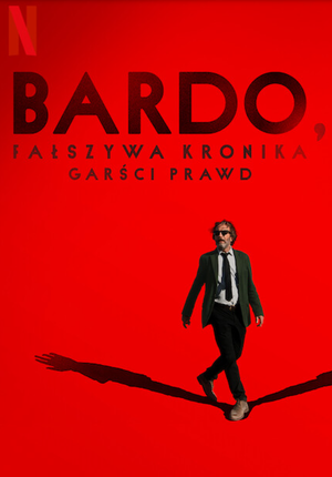 Bardo, fałszywa kronika garści prawd