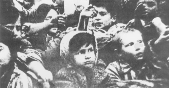 W niemieckim obozie Auschwitz-Birkenau zaginęło 200 tysięcy dzieci. Ich buciki są symbolem zbrodni hitlerowców. Zachowało 8 tysięcy z nich. Teraz zostaną poddane konserwacji. 
