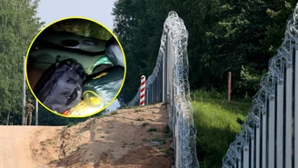 Migranci forsowali polską granicę. "Próbowali pokonać stalową barierę"