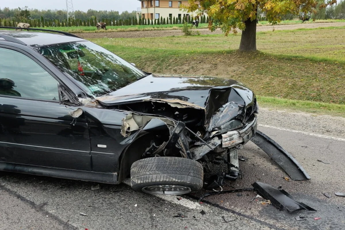 Zakończyły się utrudnienia na drodze krajowej nr 71 w Skotnikach k. Zgierza (woj. łódzkie) – poinformował dyżurny łódzkiego Punktu Informacji Drogowej. Zderzyły się tam samochód osobowy i ciągnik rolniczy. Nikt nie został poszkodowany.