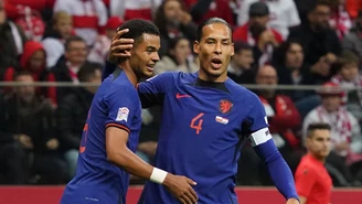 Holandia - Katar w meczu grupowym MŚ 2022. Relacja na żywo