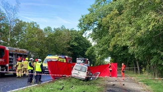 Wielkopolskie: Czołowe zderzenie ciężarówki z renault. Nie żyje jedna osoba